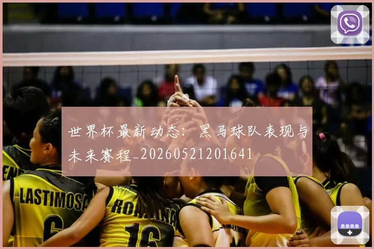 世界杯最新动态：黑马球队表现与未来赛程_20260521201641